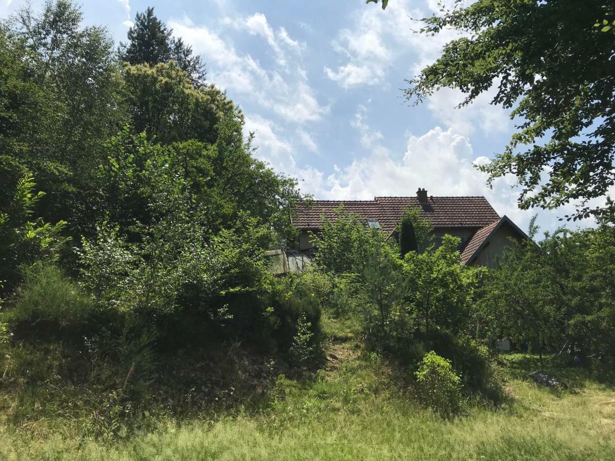 Gite Du Rocher Lapoutroie Zewnętrze zdjęcie